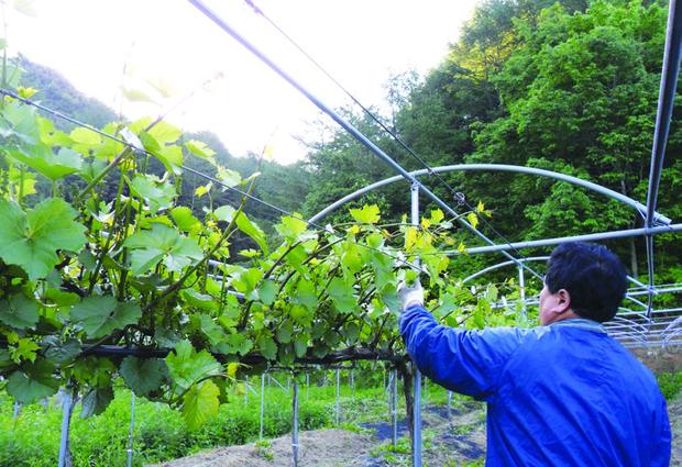 덕유양조 사진 2