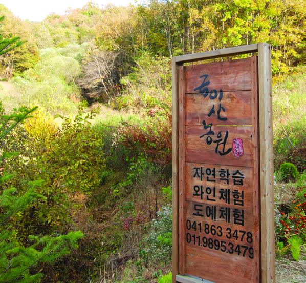 영농조합법인 금이산농원 사진 4