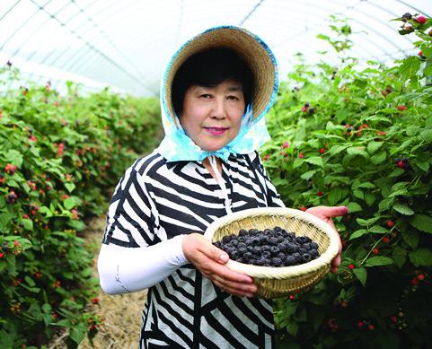 복분자영농조합법인 — 순창