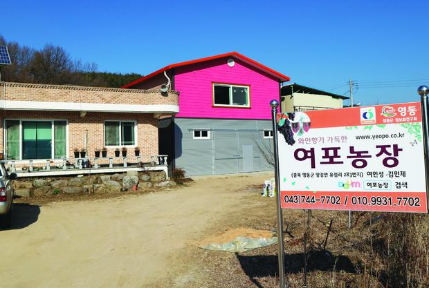 여포와인농장 사진 2