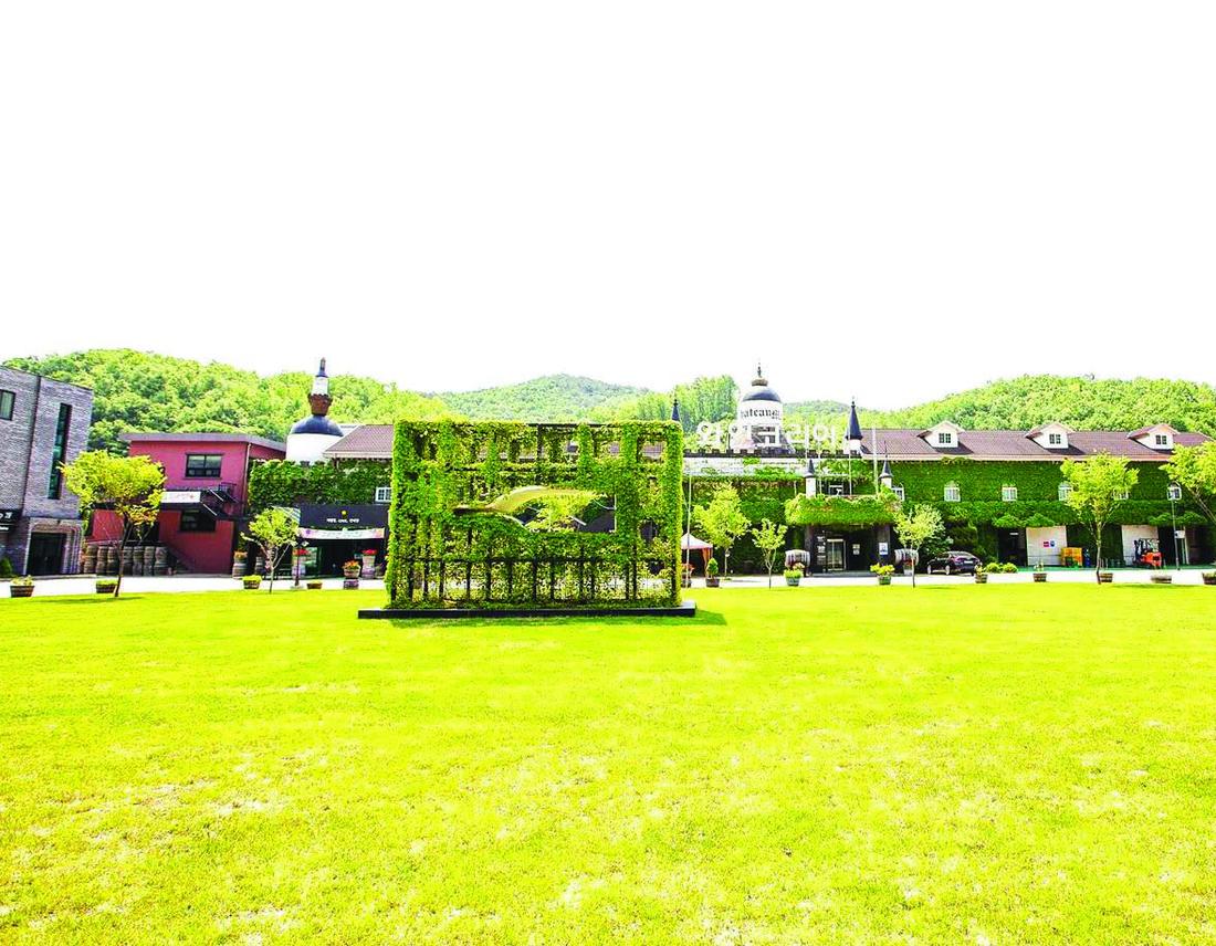 와인코리아㈜농업회사법인 전경