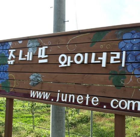 쥬네뜨 와이너리 사진 4