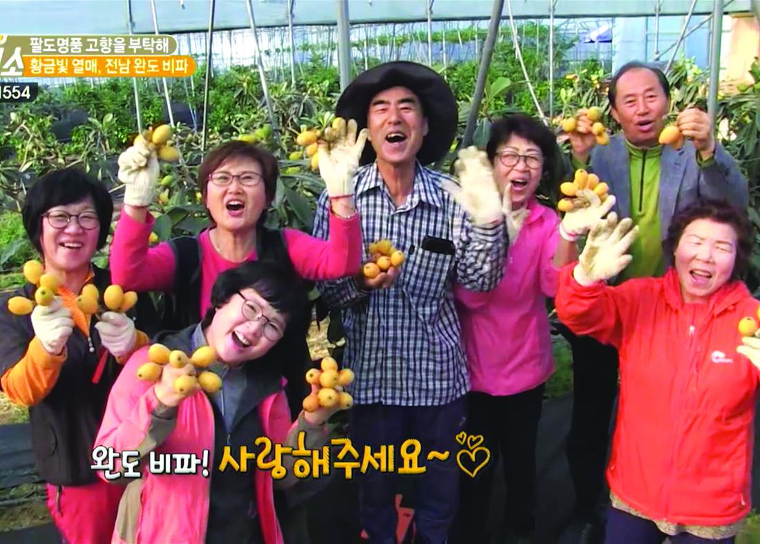 황금과 비파와인 전경
