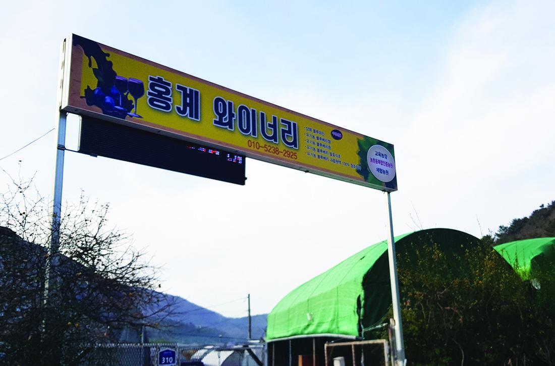 홍계 와이너리 전경